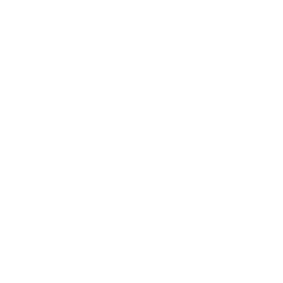 phone logo