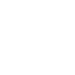 phone logo